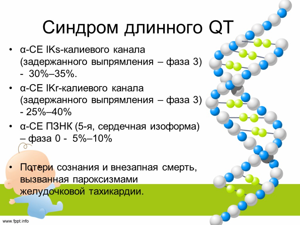 Синдром длинного QT α-CЕ IKs-калиевого канала (задержанного выпрямления – фаза 3) - 30%–35%. α-CЕ